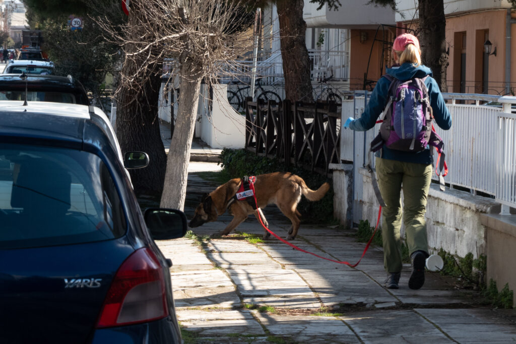 «Χτένισε» την περιοχή για φόλες